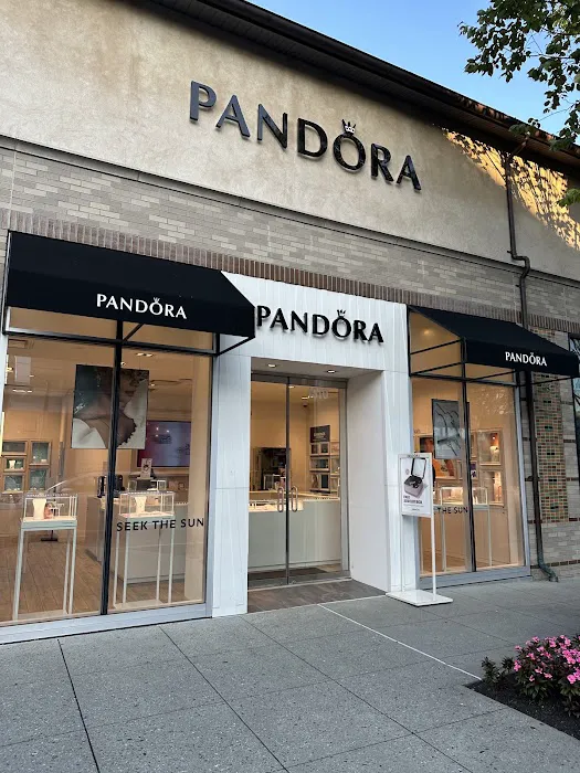 PANDORA Jewelry 5