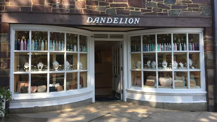 Dandelion 4