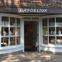 Dandelion ico