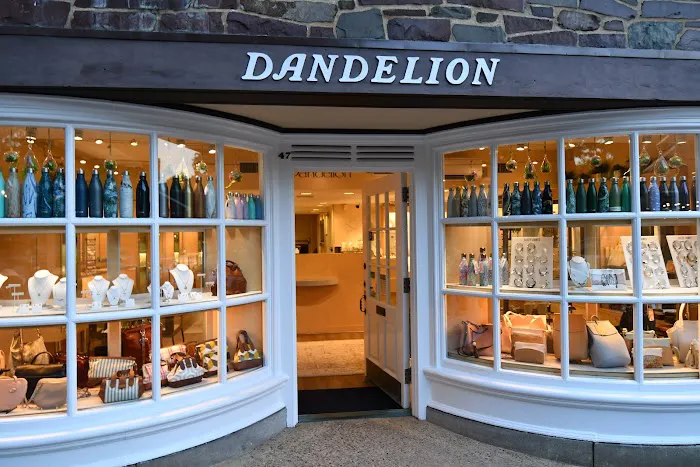 Dandelion 4