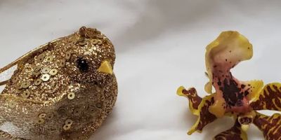 Golden Phoenix Jewelers