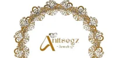 Anitsegz Jewelry & Hair