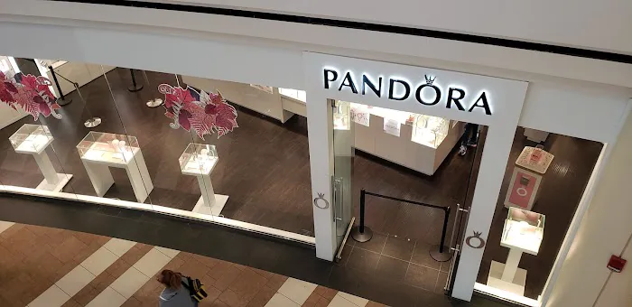 Pandora Jewelry 4