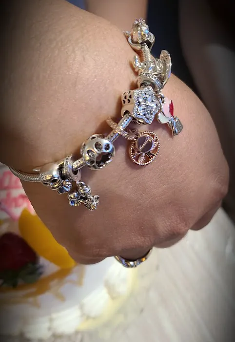 Pandora Jewelry 4
