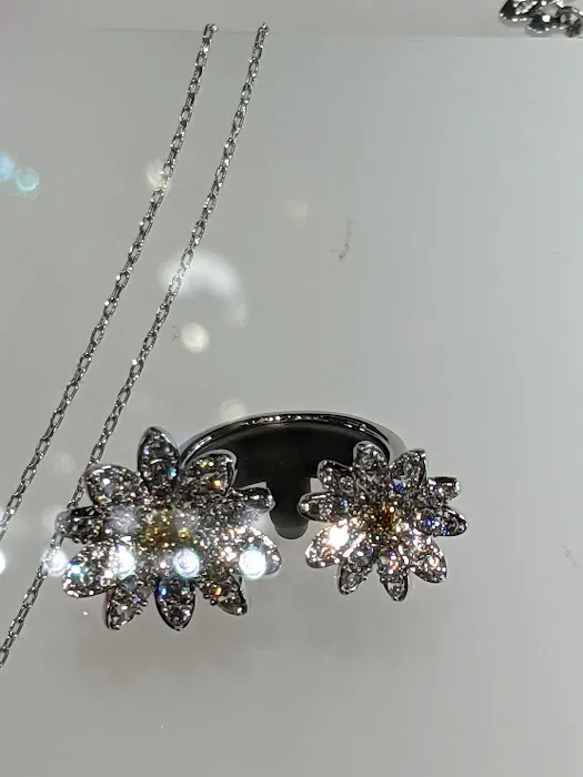 Swarovski 4