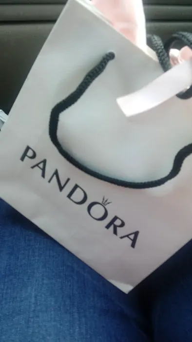 Pandora Jewelry 4
