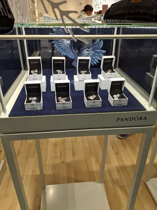 Pandora Jewelry 4