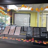 WESTCHESTER JEWELERS & PAWNBROKERS LLC ico