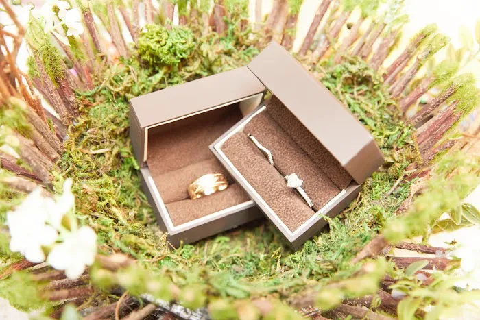 Jared Jewelers 4
