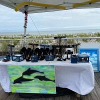 Katherine Eckfeldt Paintings and Jewelry ico