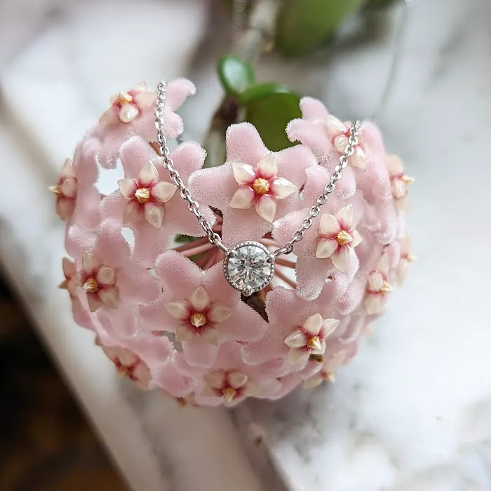 Ruby James Jewelry 4