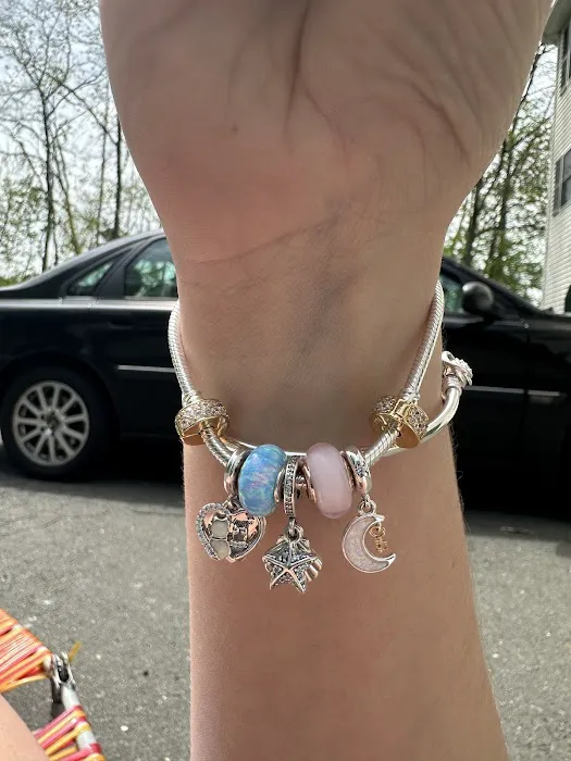 Pandora Jewelry 4