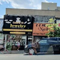 Cobra 2 Jewelery ico