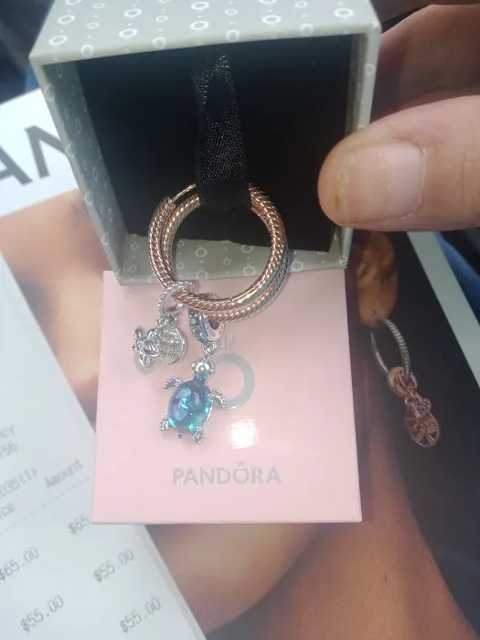 Pandora 3