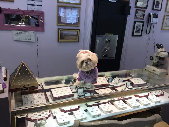 Hyde Park Jeweler 4