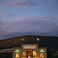Murphy Jewelers - Hamburg ico