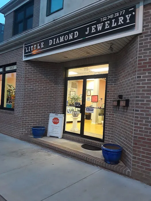 Little Diamond Jewelry 4