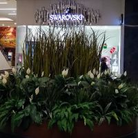 Swarovski Store SoNo Collection ico