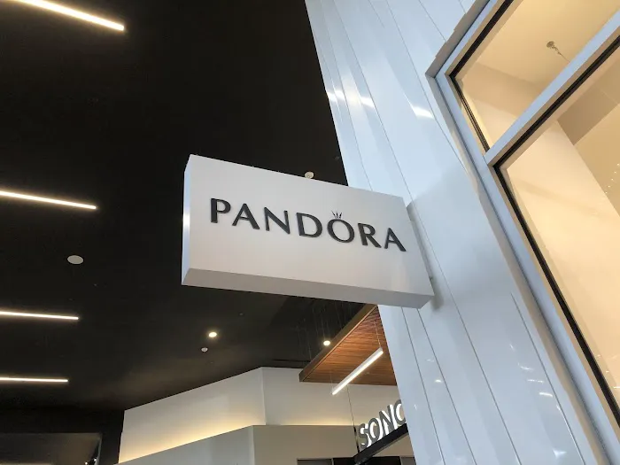 Pandora Jewelry 4
