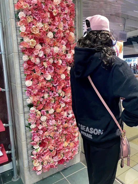 My SZN Accessories Boutique 4
